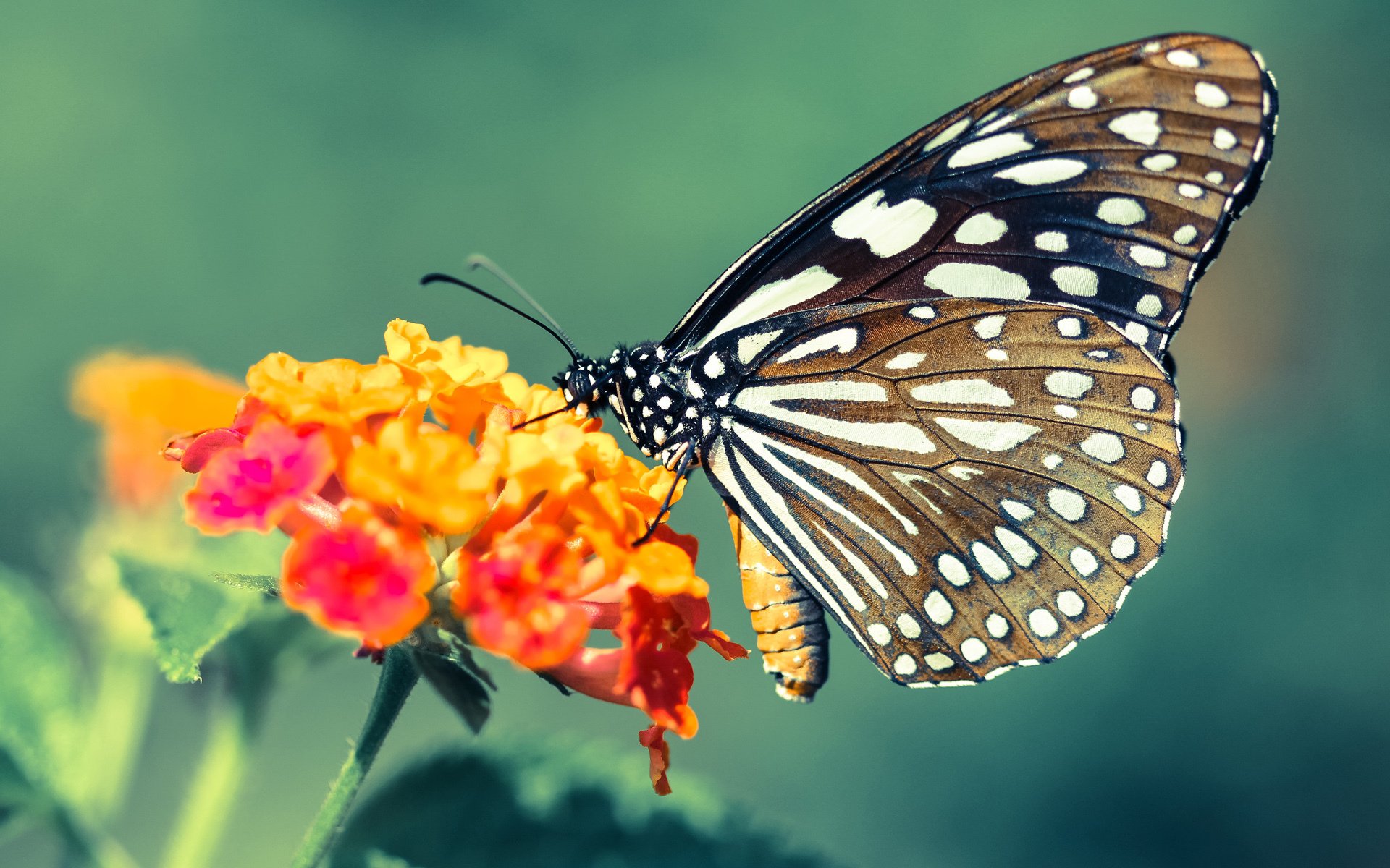 中国青年队迎战国际热身赛 战术调整成看点，中国青年队最好成绩