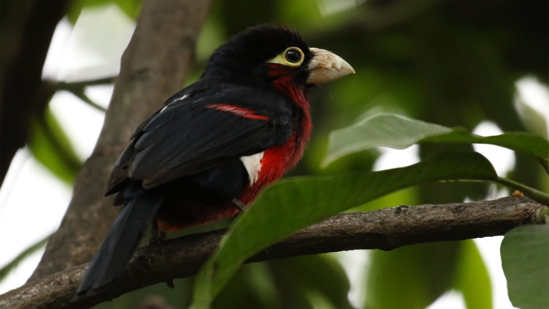 各大俱乐部注重后备梯队建设储备青年球员新血液
