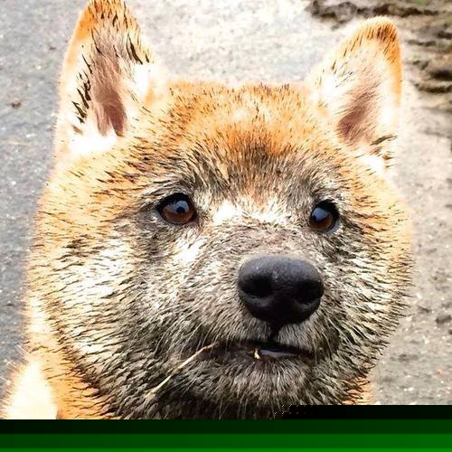 爱游戏app下载-新闻中心报道全国高校体育竞赛开幕安排，全国大学生体育比赛2021