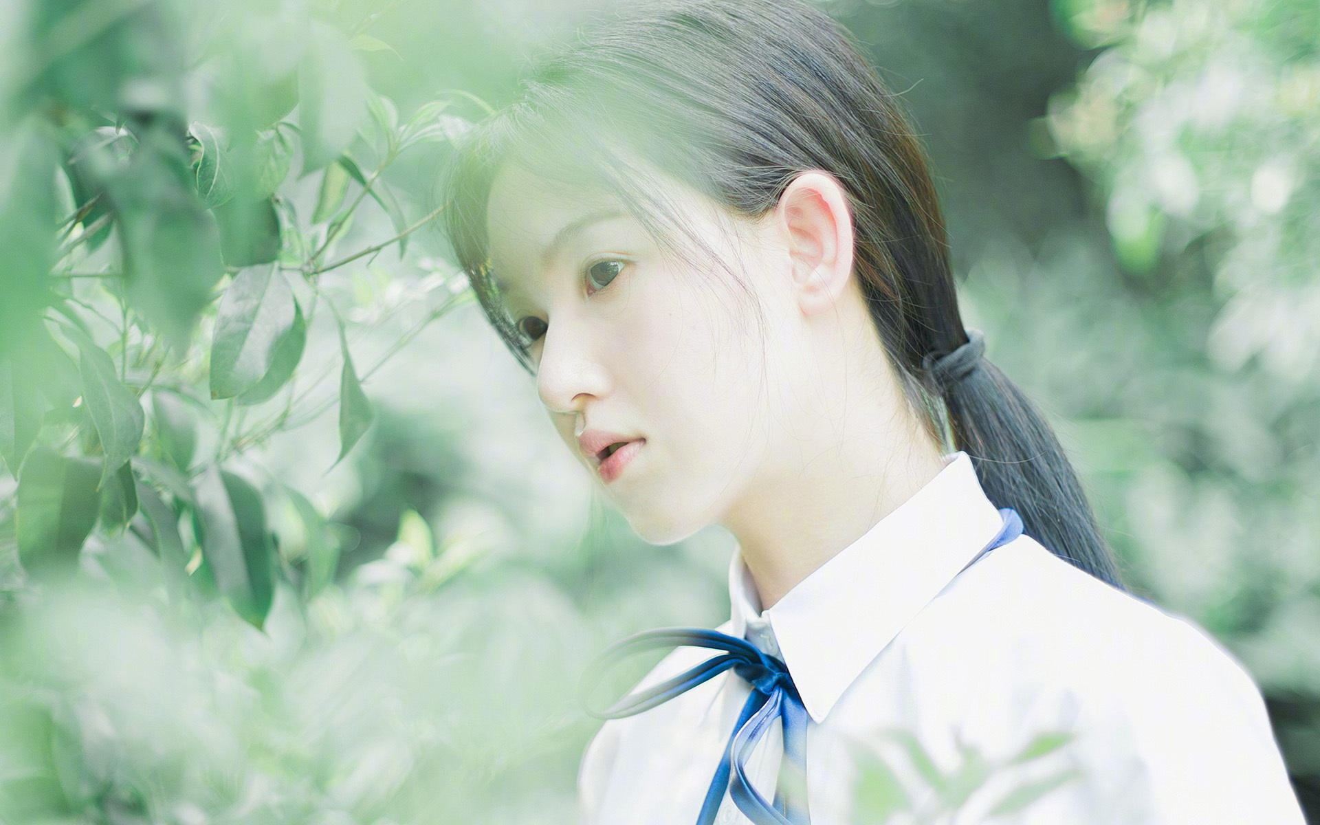 澳大利亚袋鼠队再度崛起，目标锁定橄榄球冠军，澳大利亚袋鼠强壮