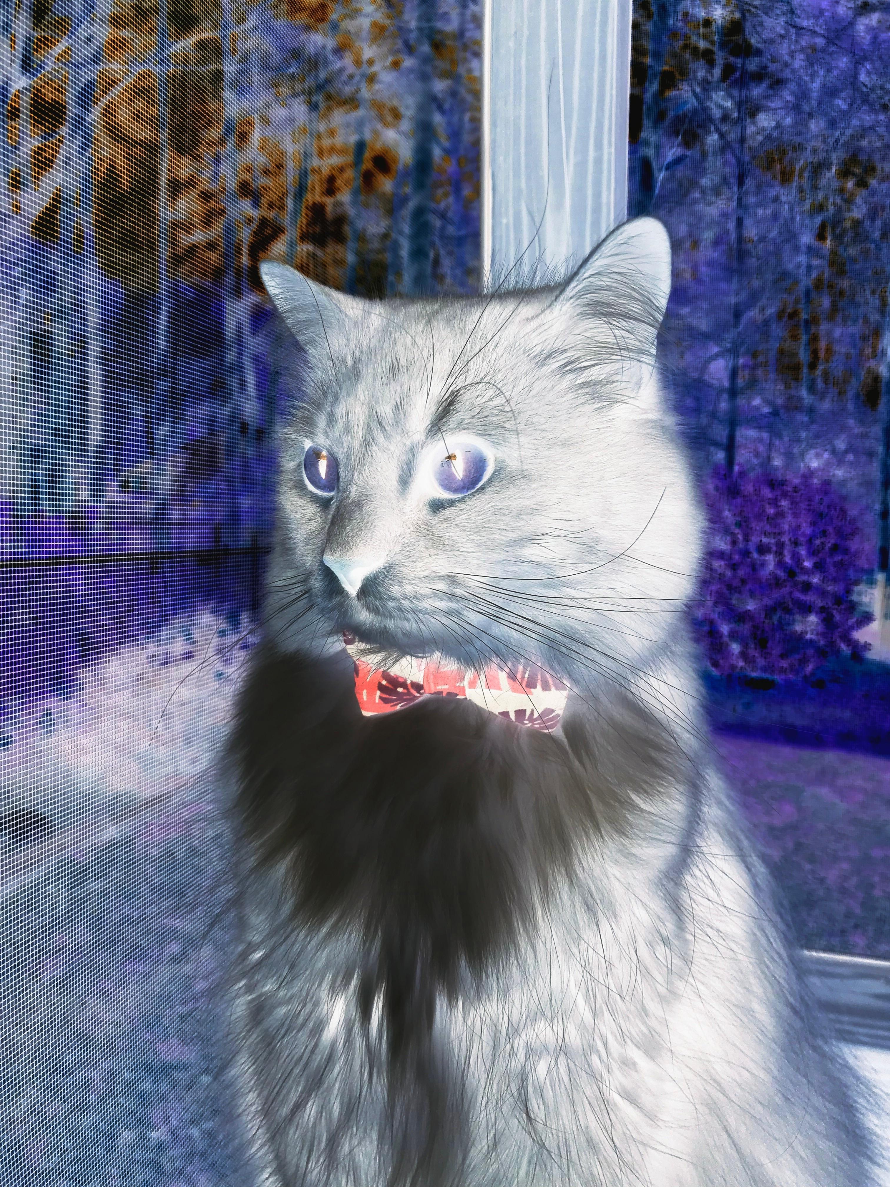 独行侠训练课上进行球员自主战术设计，独行侠队控卫