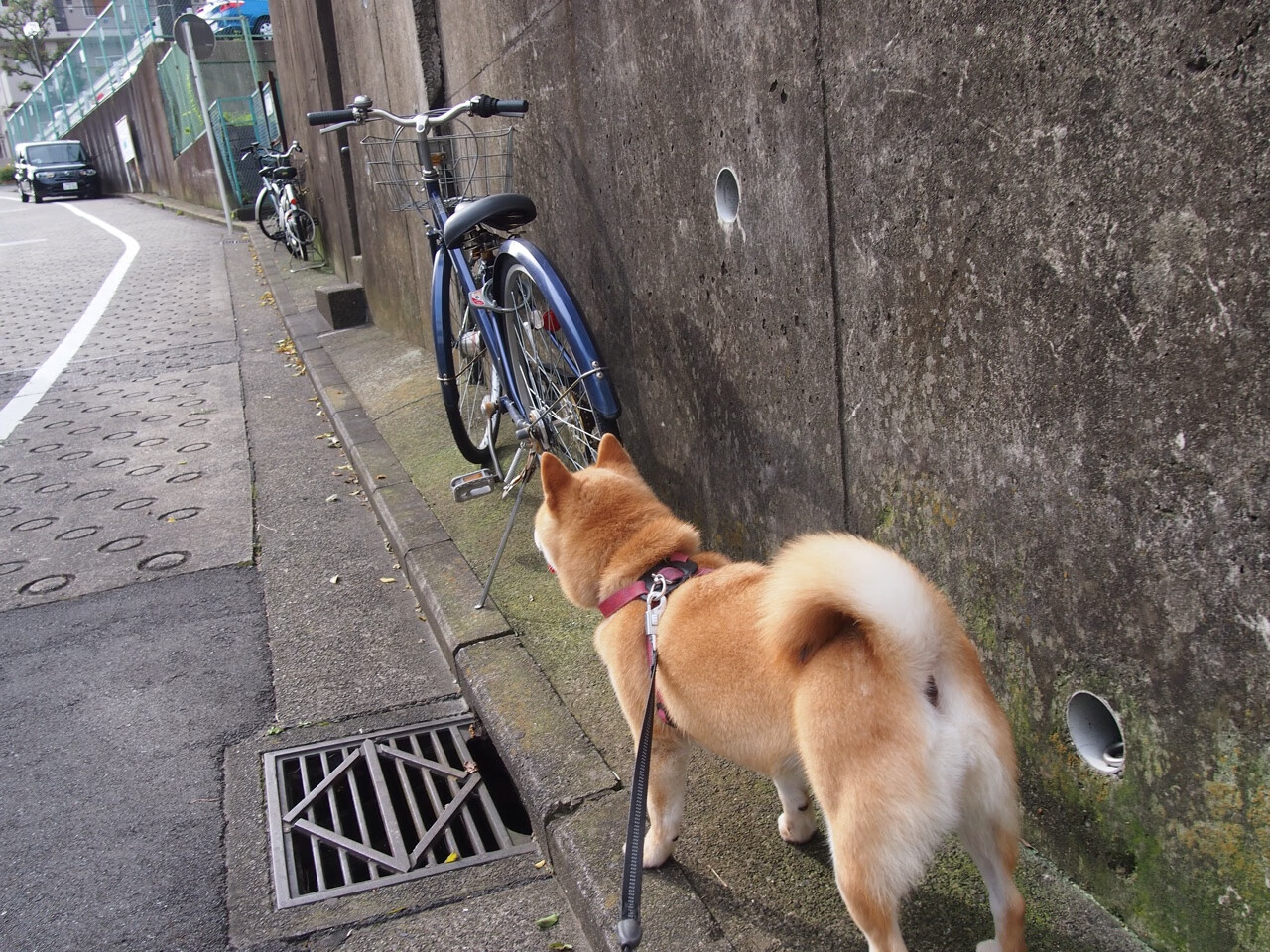 爱游戏app-覃海洋以韧性与决心征服赛场，覃海洋游泳