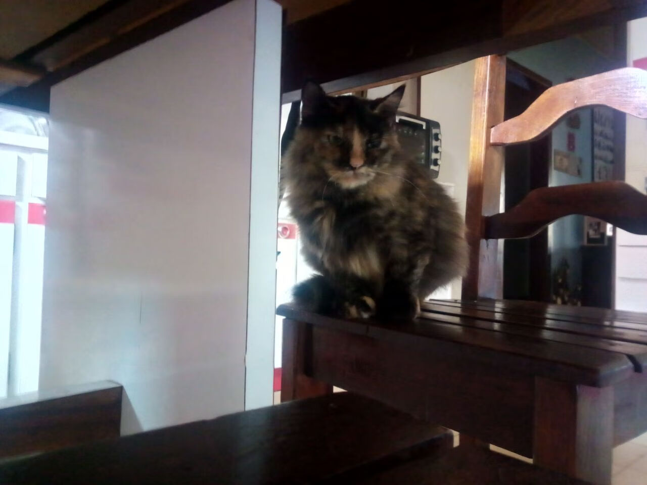 青训体校引入文化课管理模式关注学生全面发展,体校文化课老师该如何教学